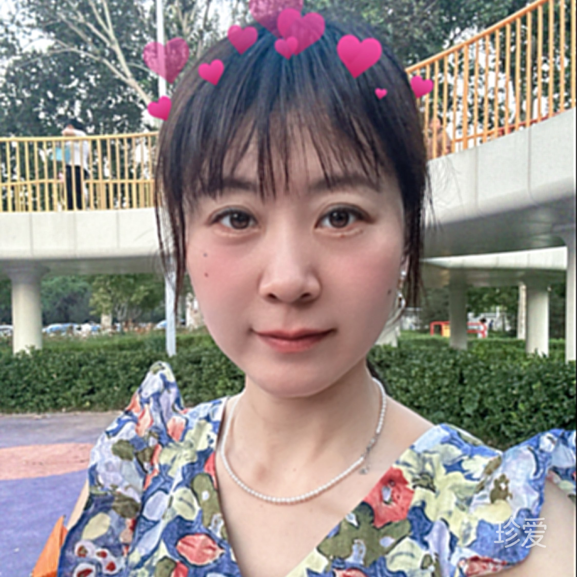 默默的风