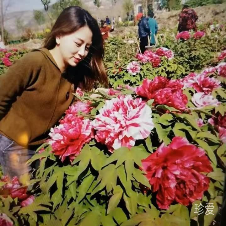 晓棠