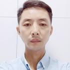 南京的森林