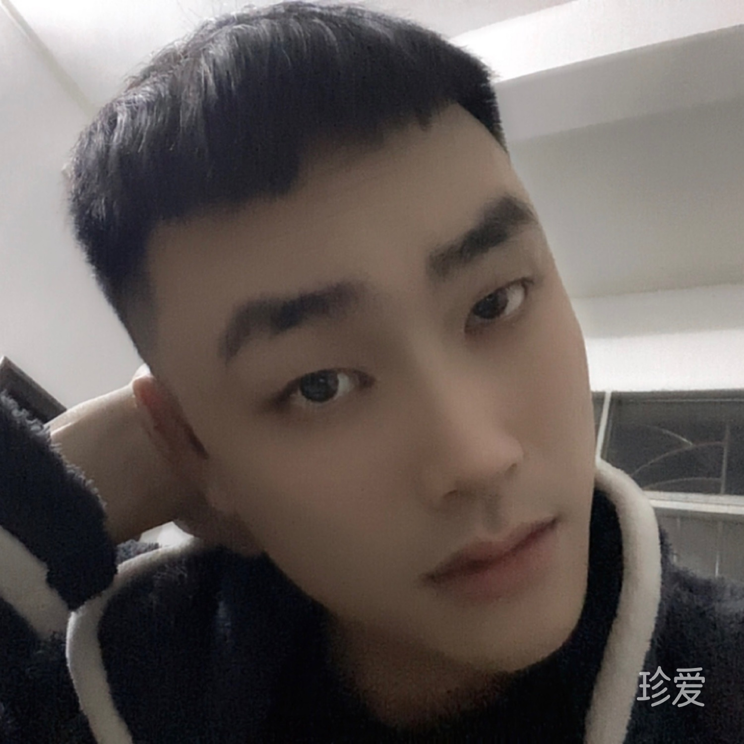 西战将