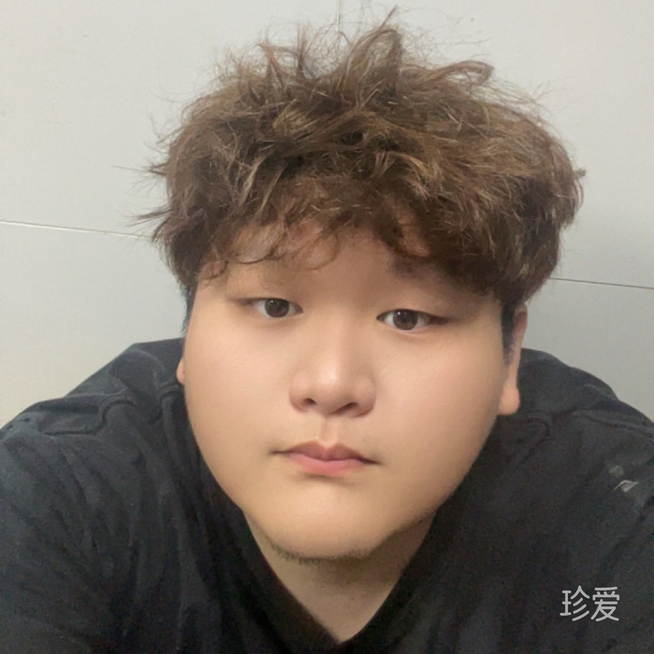壮壮