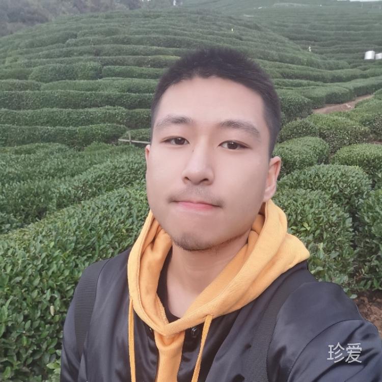 不愛睡覺的樹懶