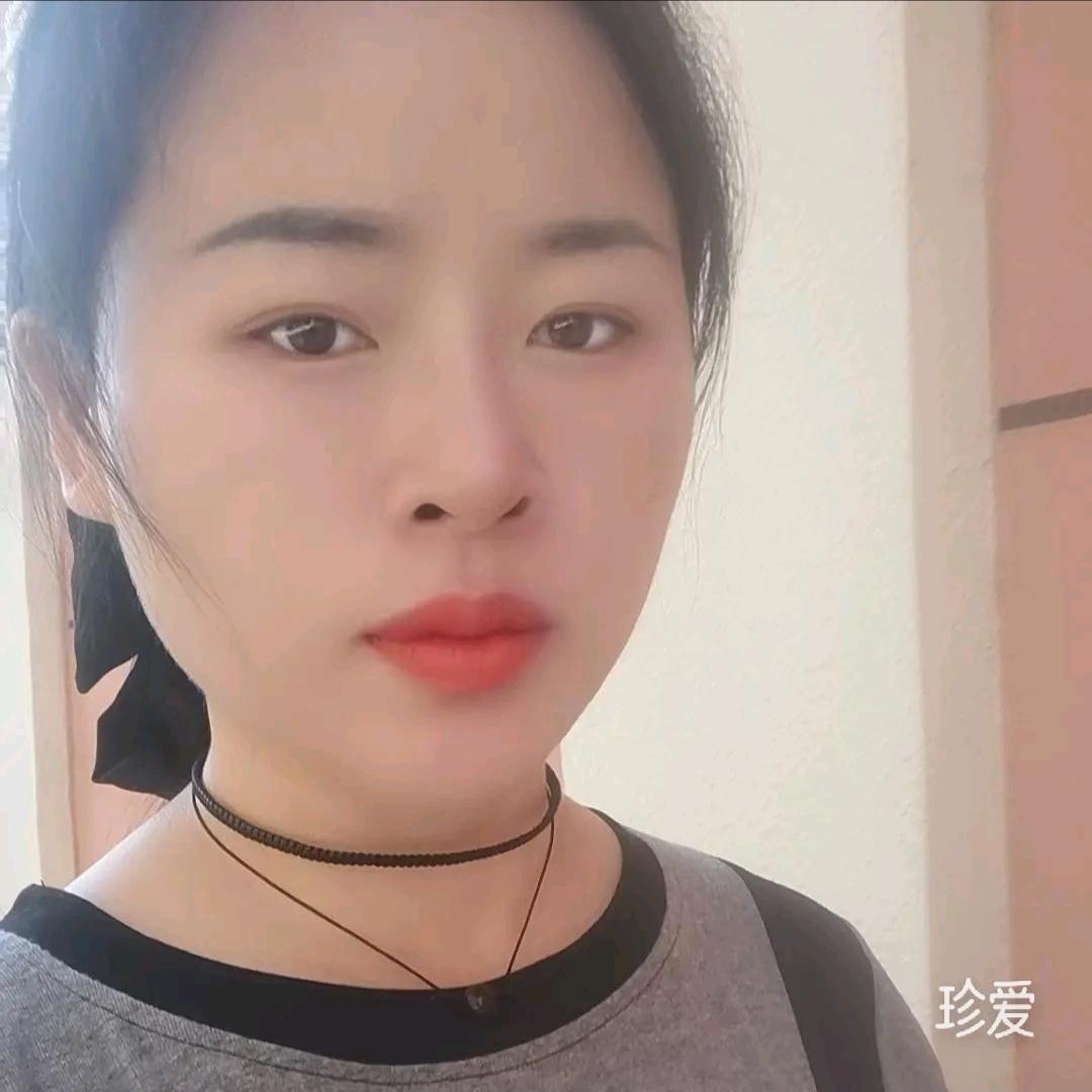 无主猫