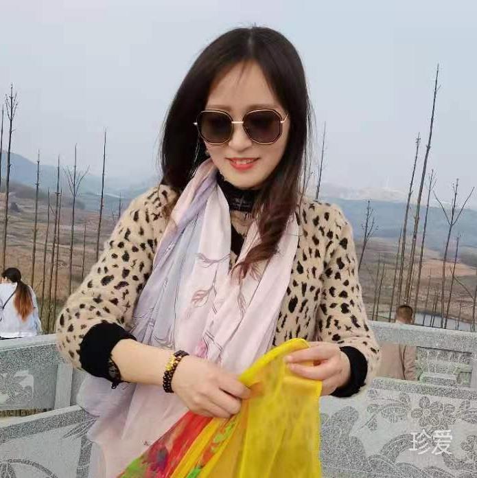 月光下的小貓咪