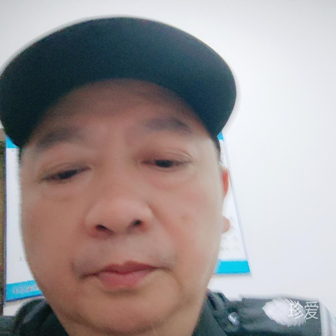 流浪的骆驼