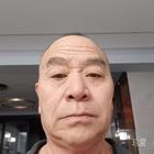 不老松