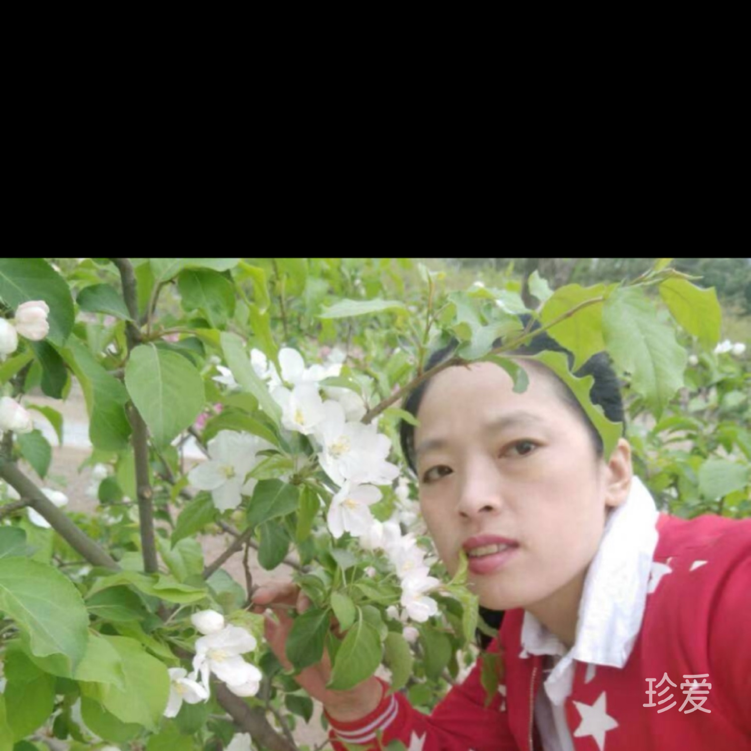 一寞青媛