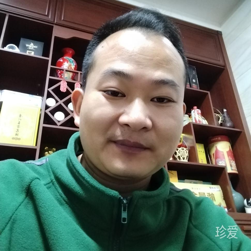 单身的小熊