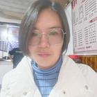 古董店里的貓