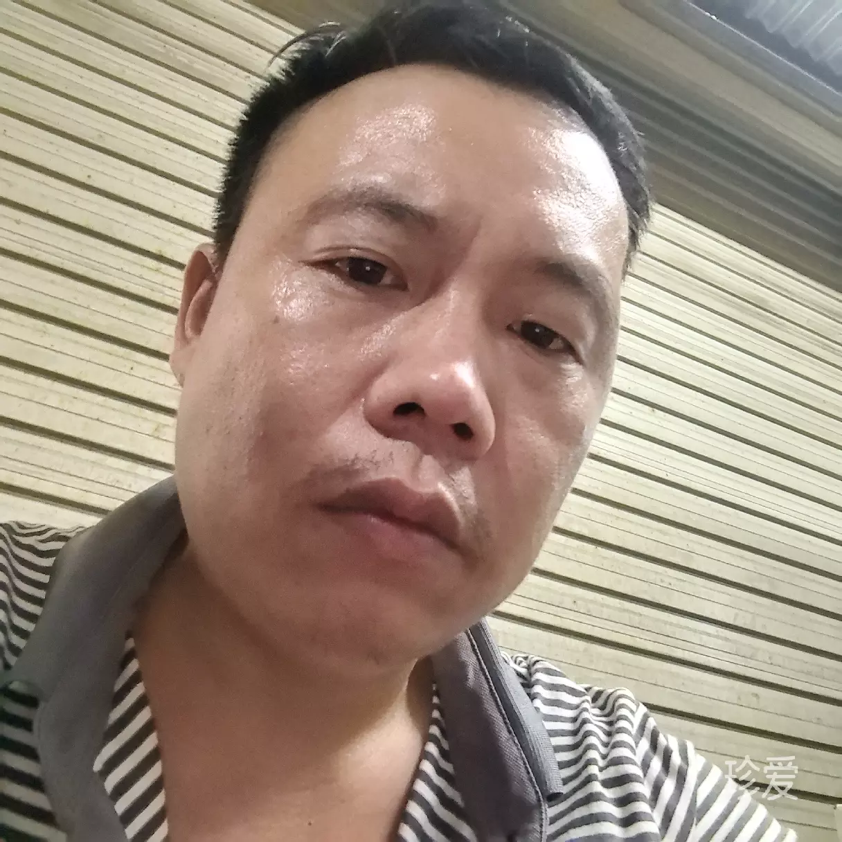 谁伴我闯荡