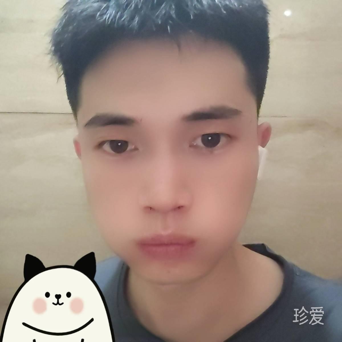 狗粮品鉴师