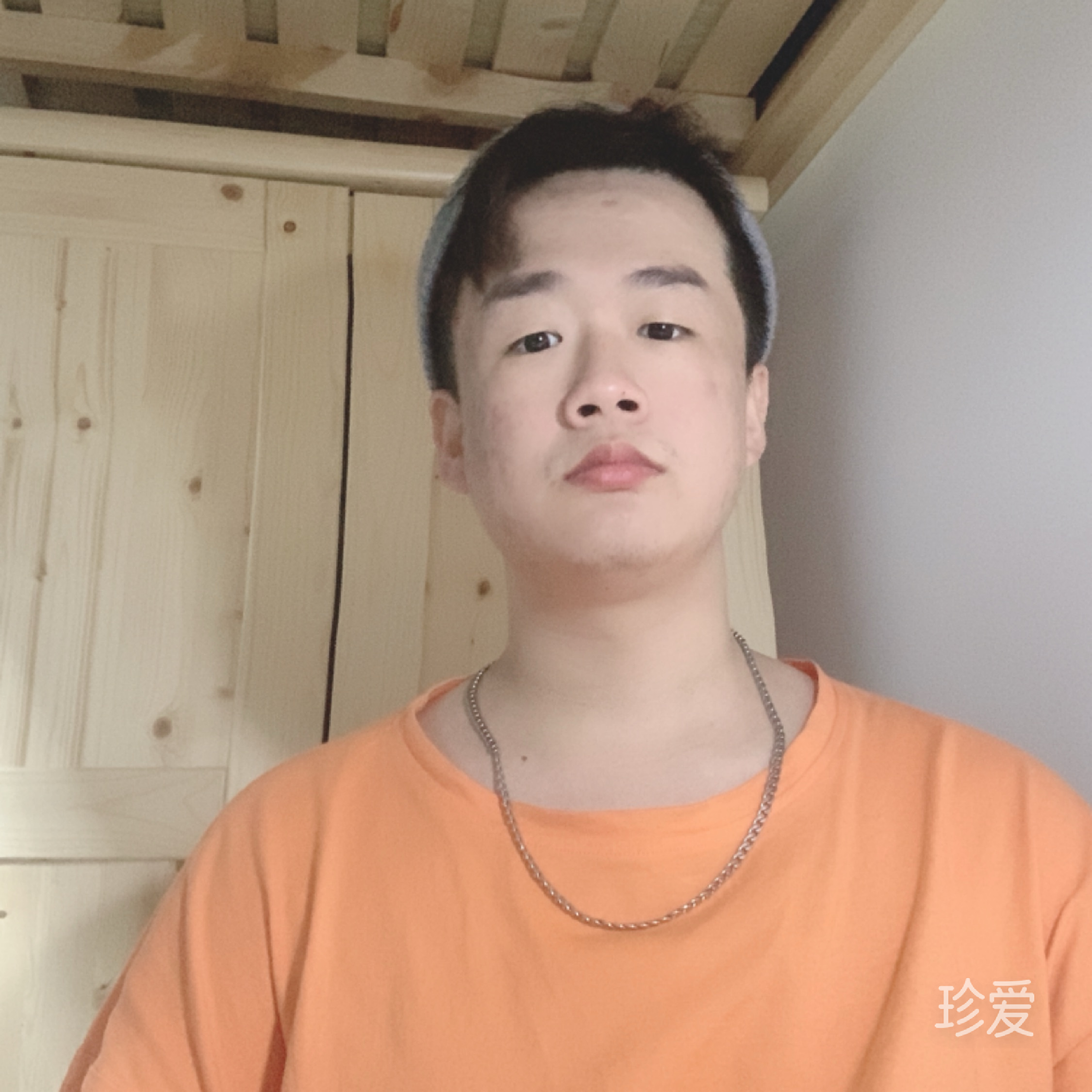 森林里的狼