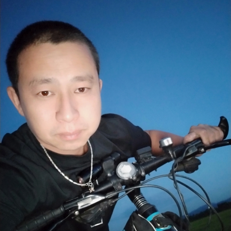 自由的代價(jià)