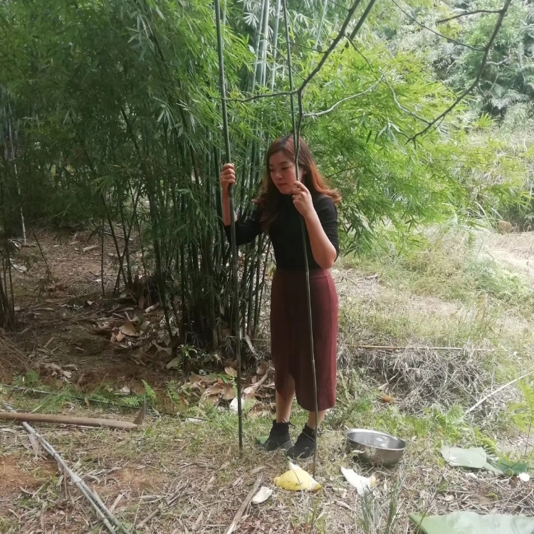 缘分从这里开始