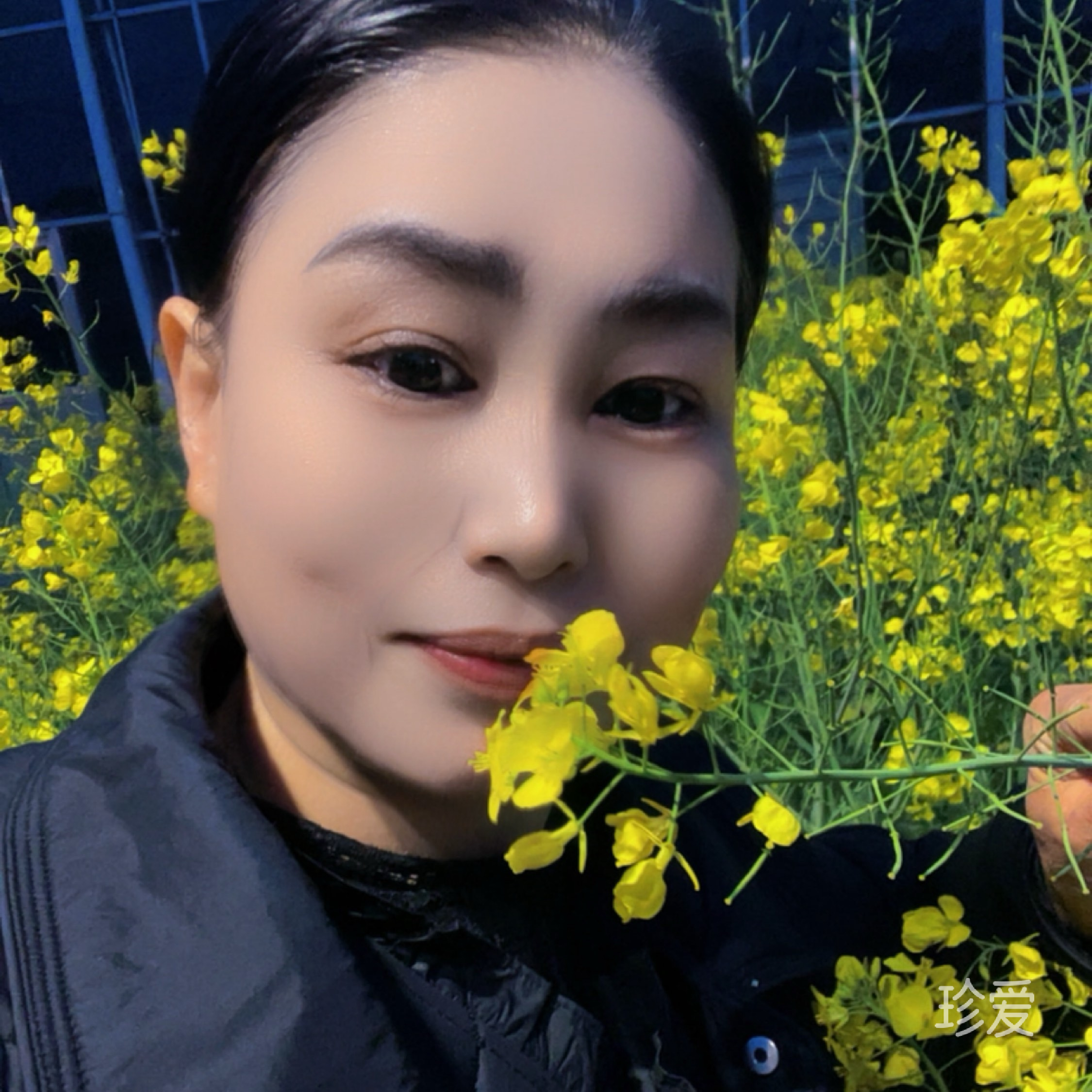盛夏的三角梅