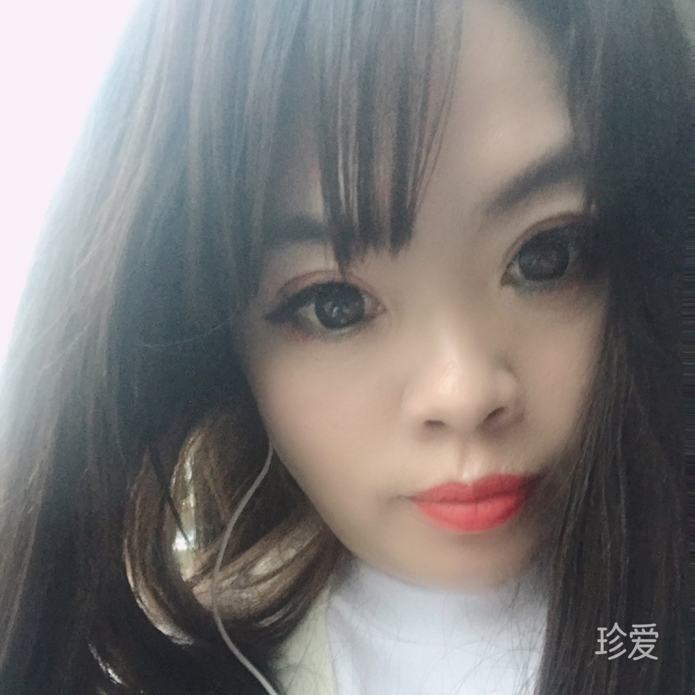 穿高跟鞋的猫