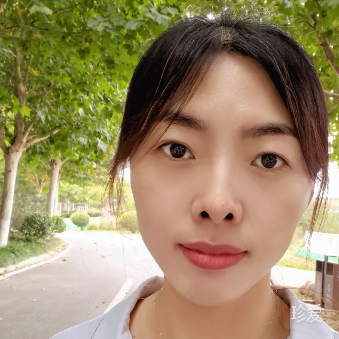 晴紫