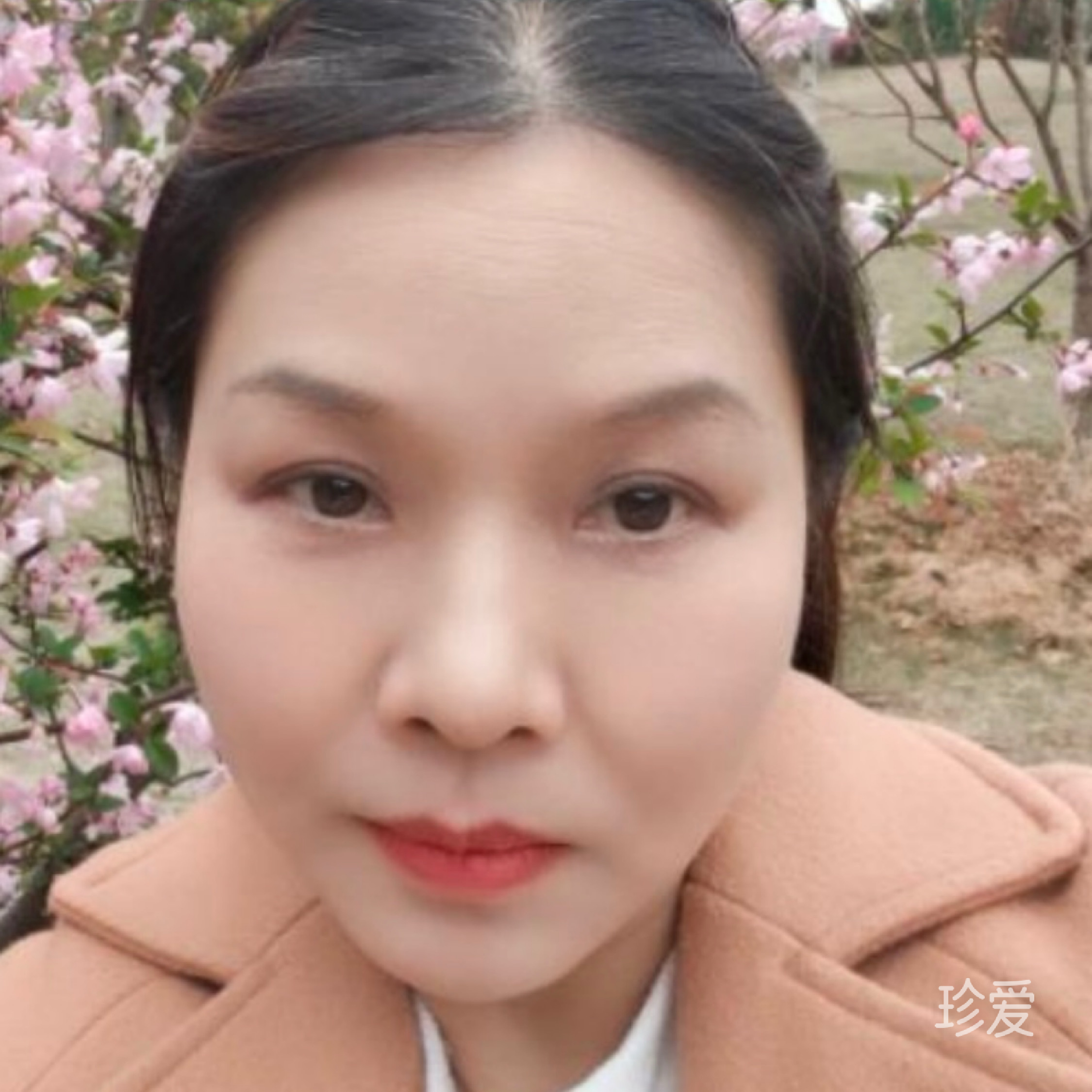 田丽华