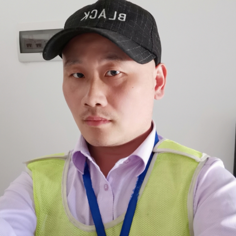 飛不起來的笨鳥飛