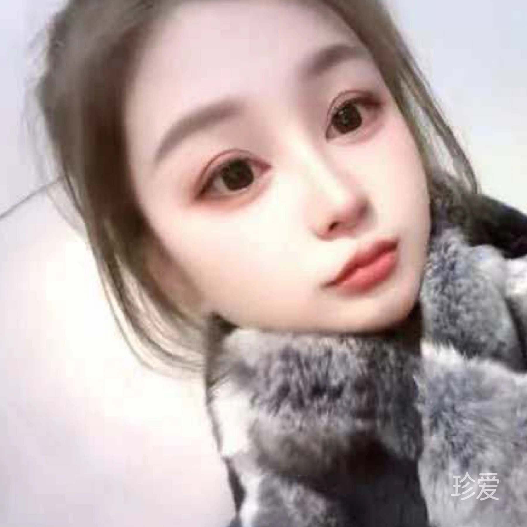 小兔儿乖乖