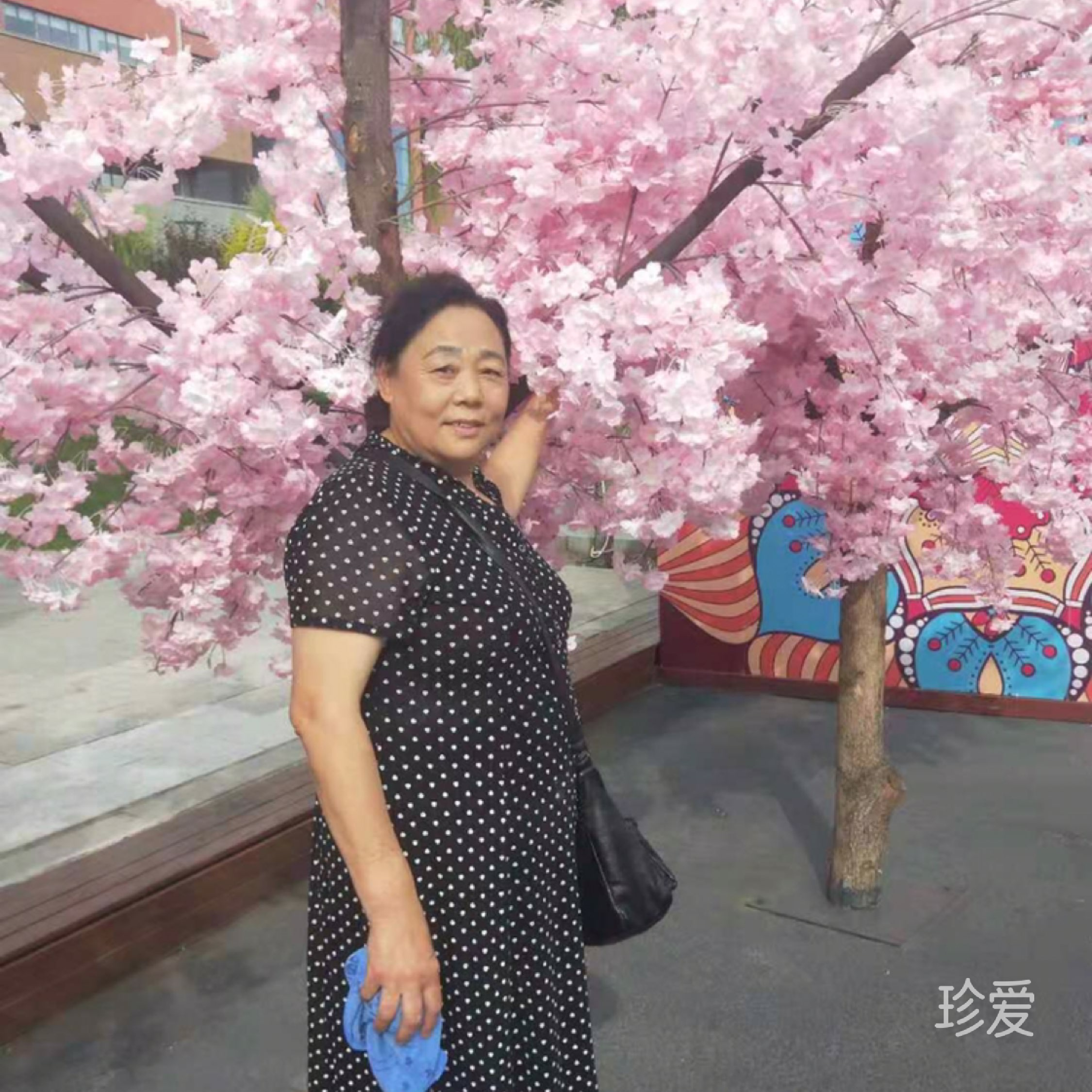 相伴一生
