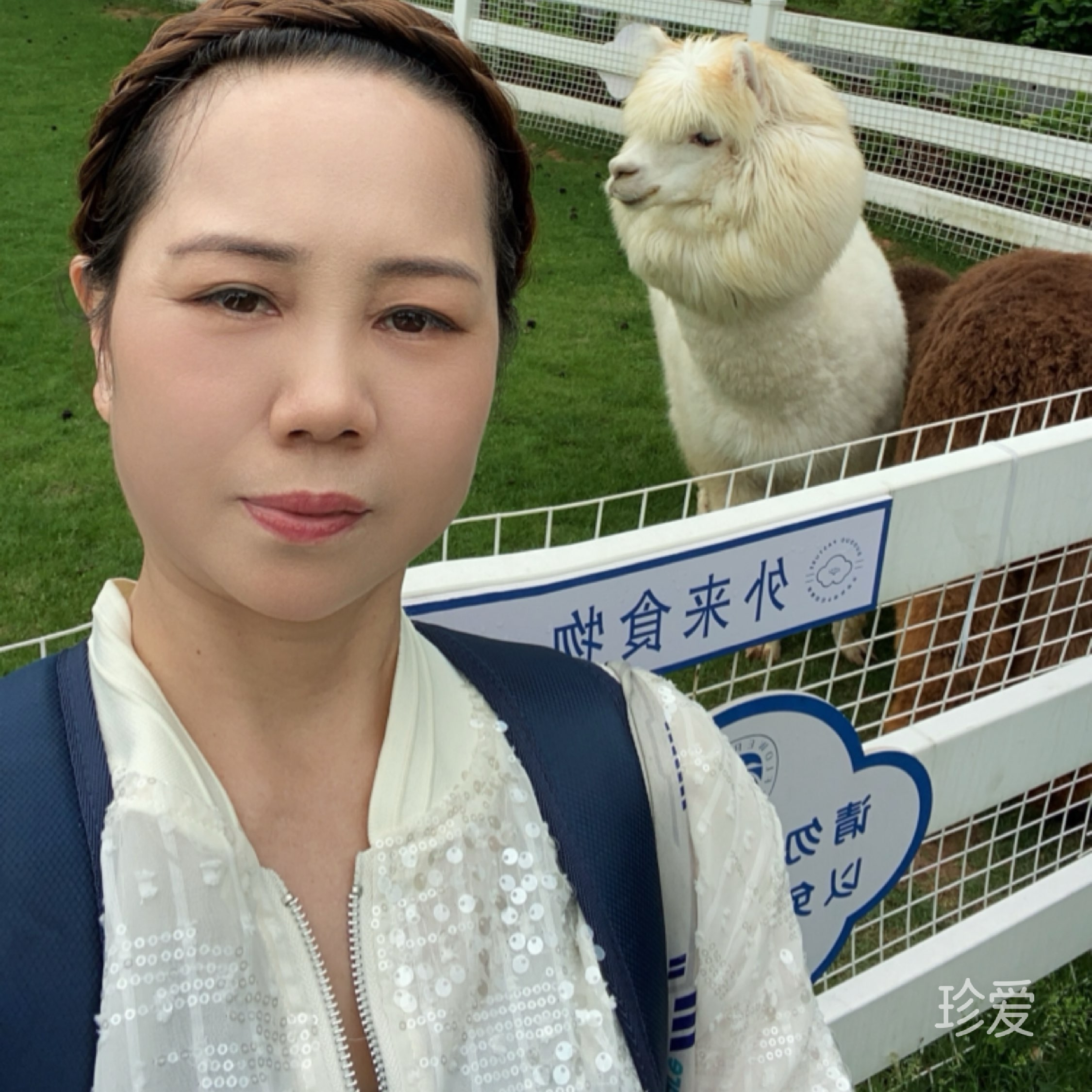 毒玫瑰