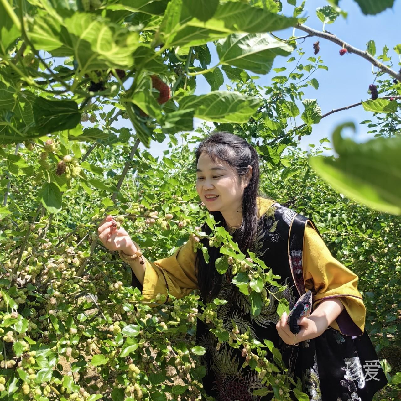 陌上花开