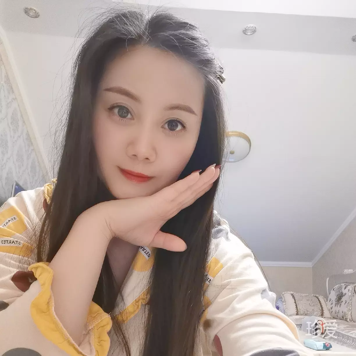 喵星人and汪星人