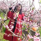 一抹陽(yáng)光