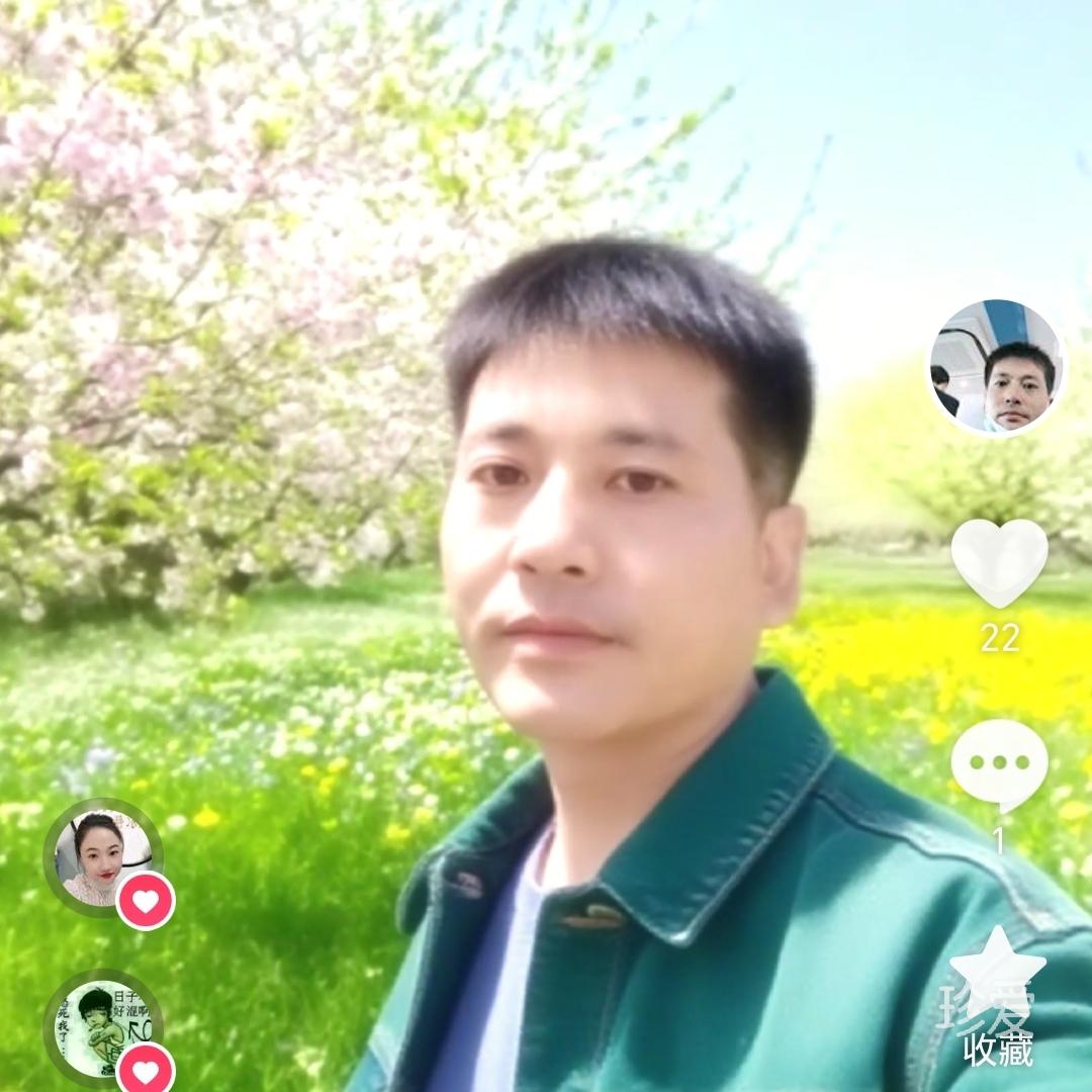 尋找最后的港灣