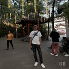 人生若只如初見