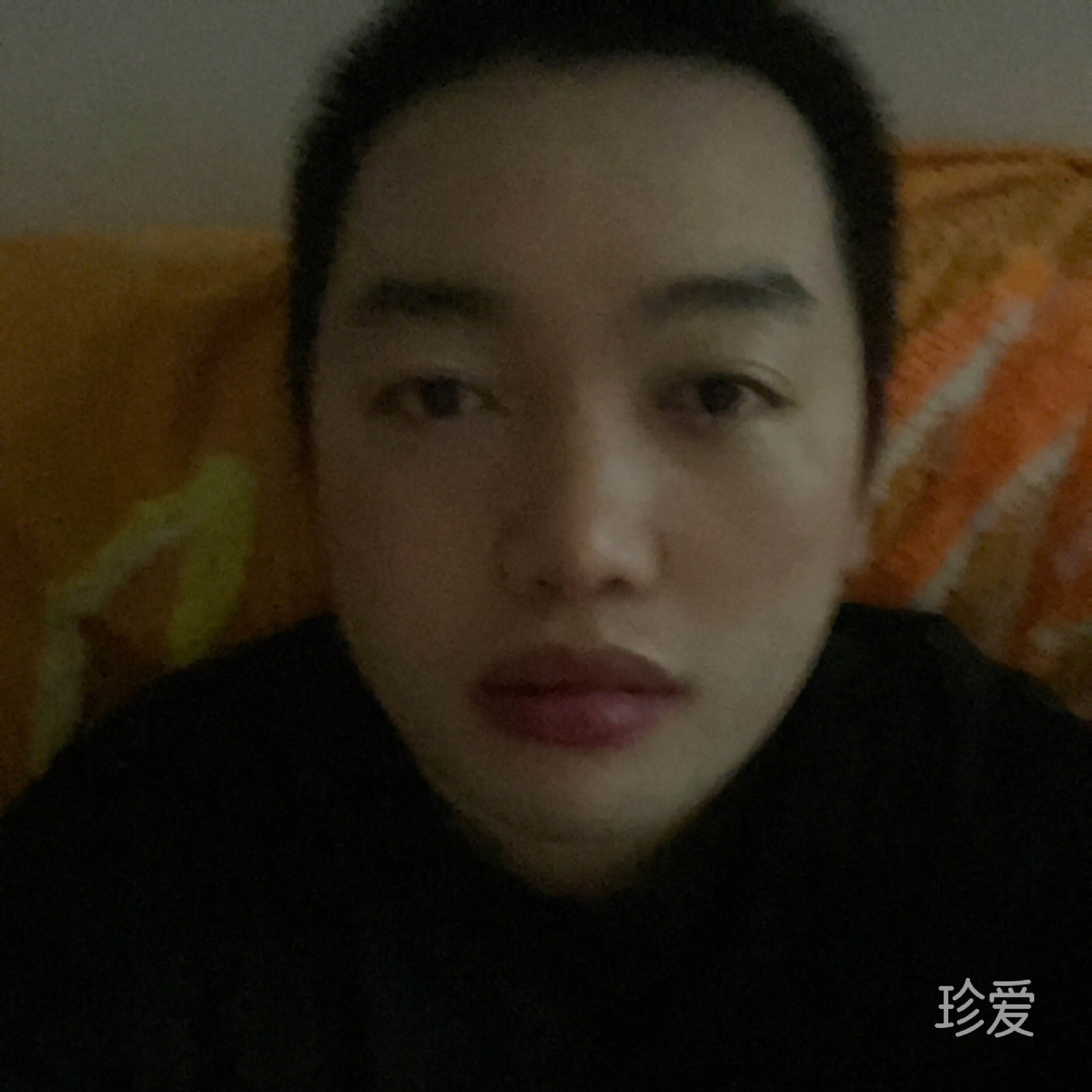 宮崎駿的琥珀川