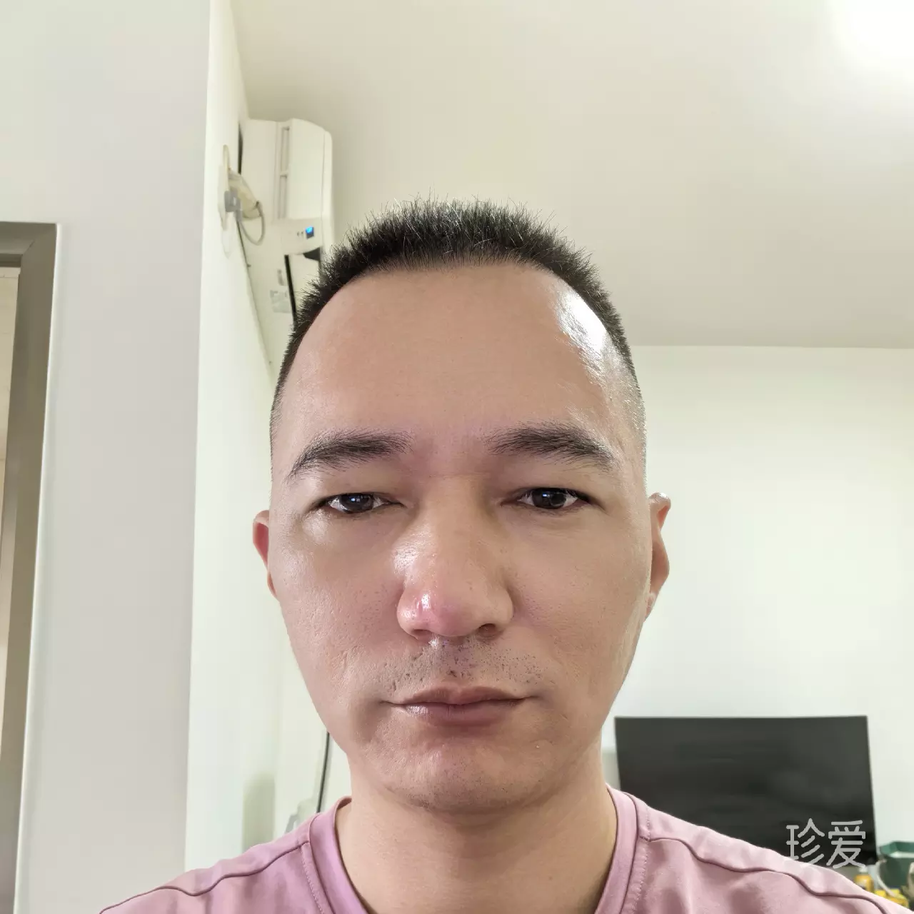 小牛