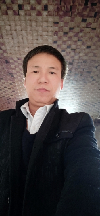 我的愛情在哪里