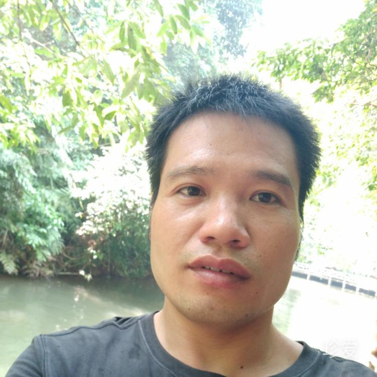 简单的人