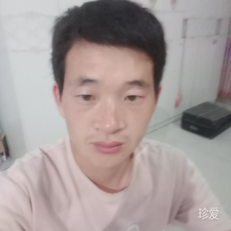 我想你的每一天