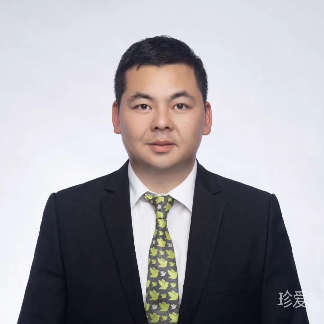 迷失方向的老虎