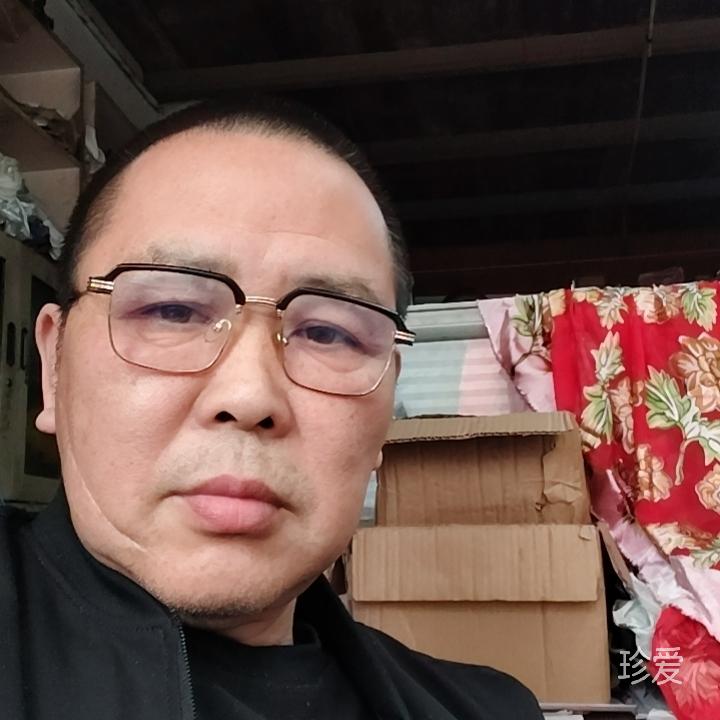林间风语