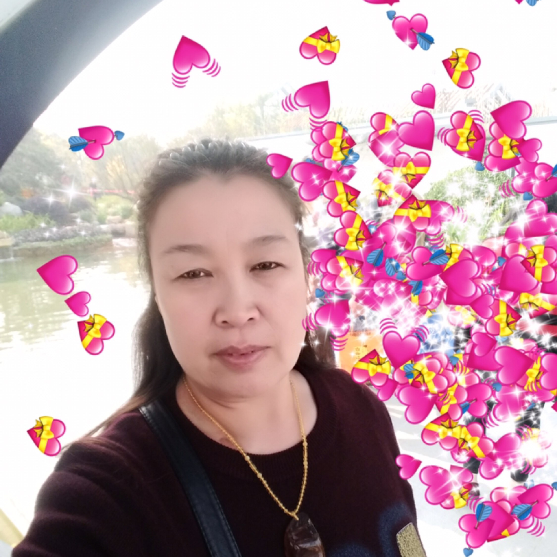 小时园边的太阳花