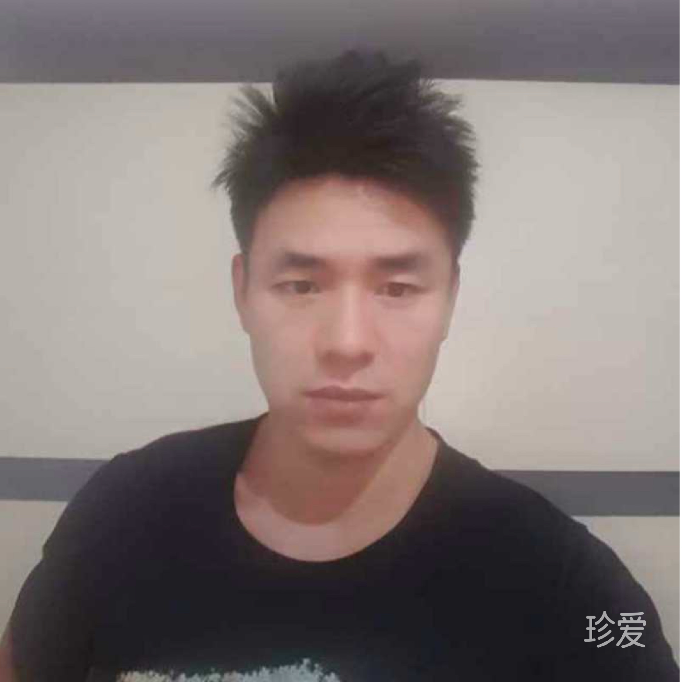 情落九尘