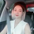 在巷子里的貓
