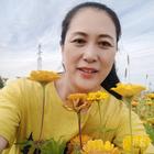 辰瑞依