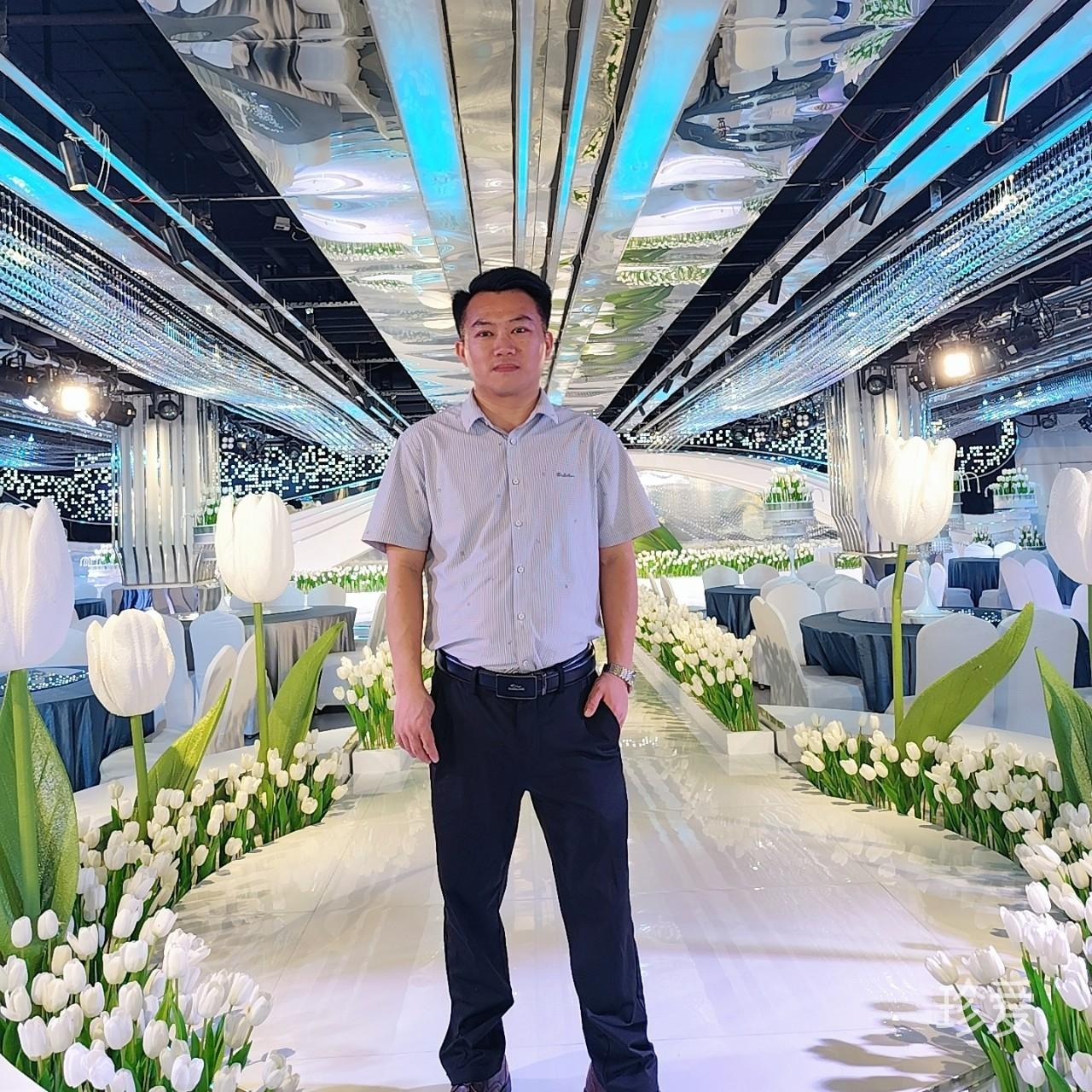 穿过树丛的阳光