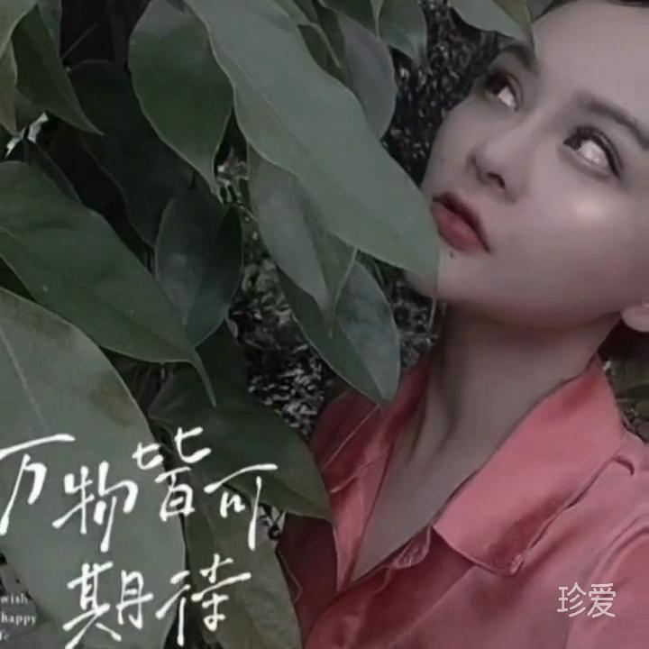 独善其身