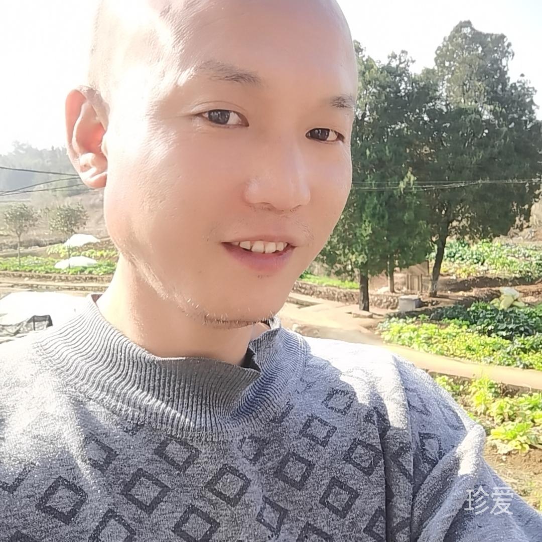 光頭喬丹小燕子