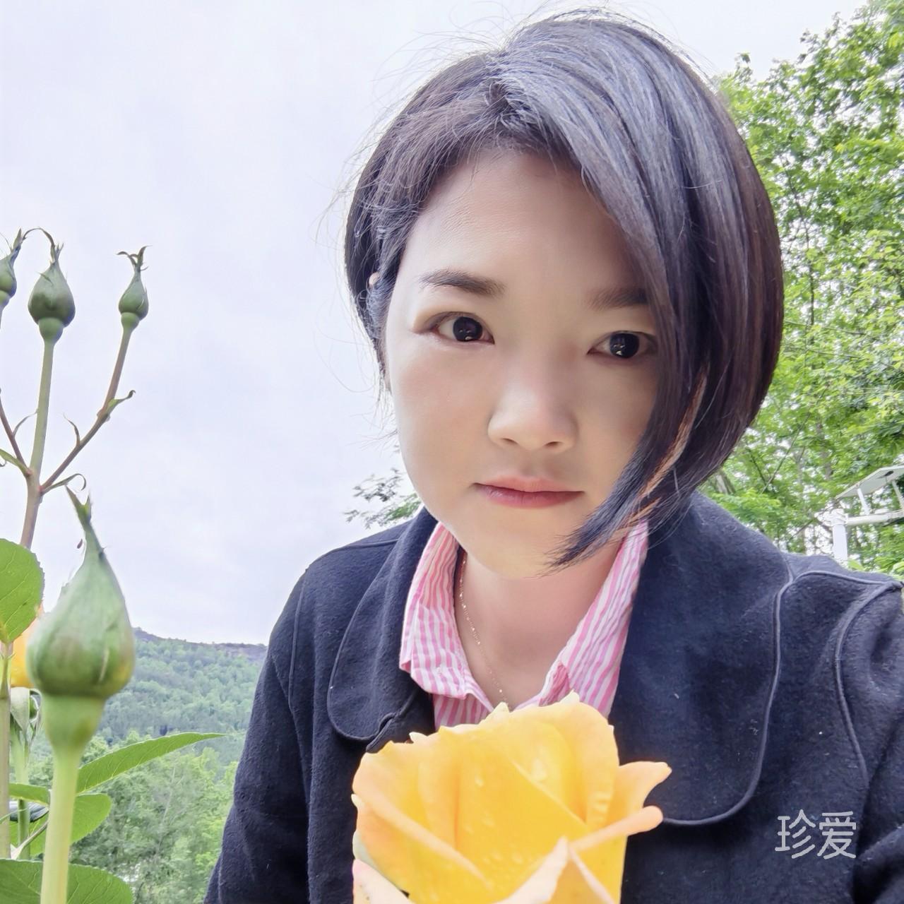 阳光下的人生