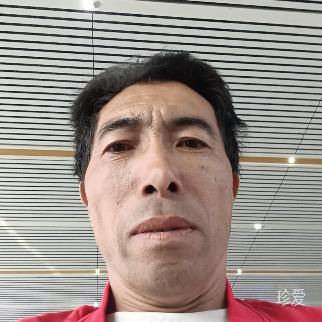 忧伤的鱼