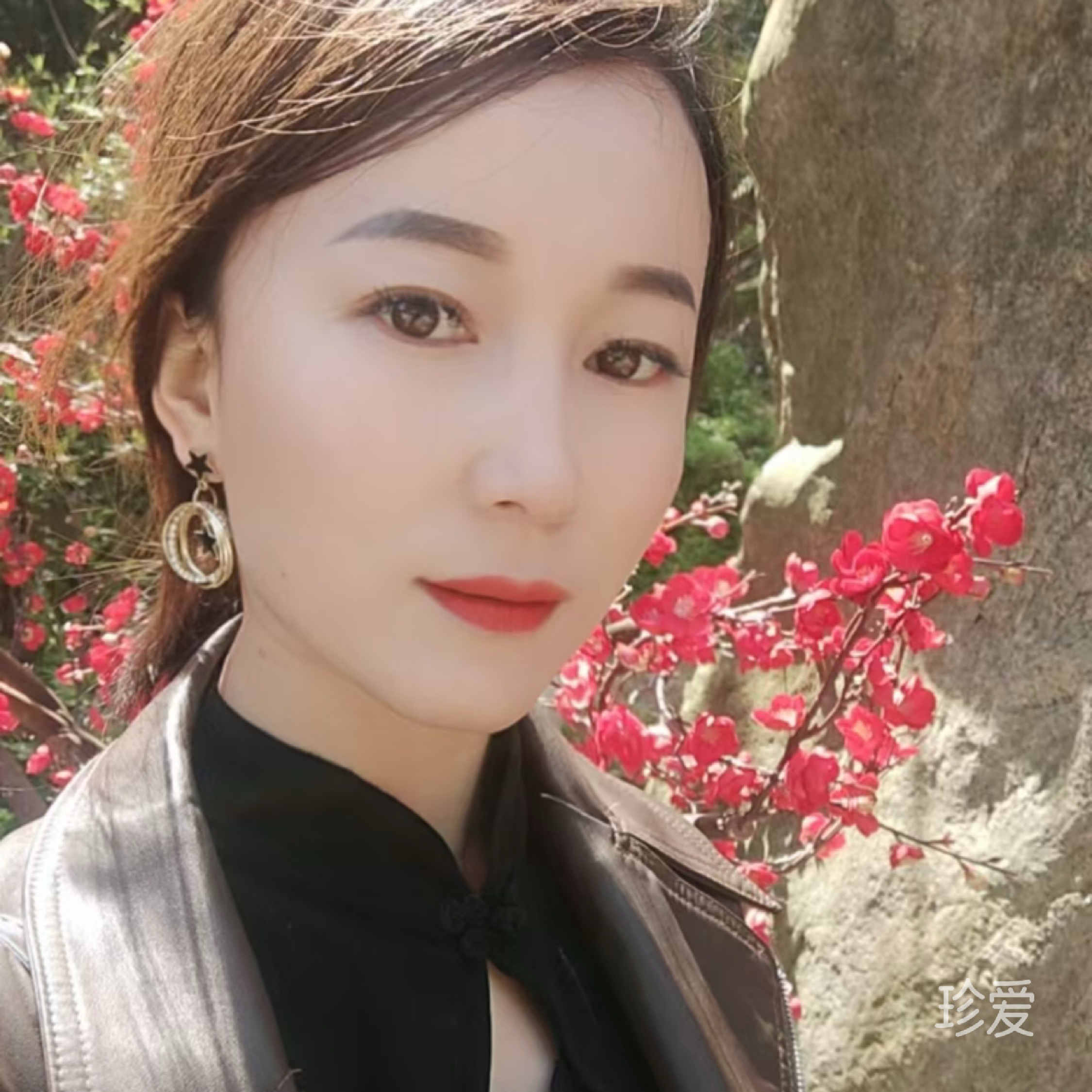 单身贵族