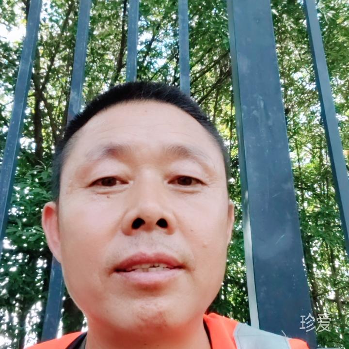 醉看紅尘這場夢