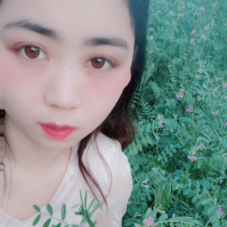 云想衣裳花想容